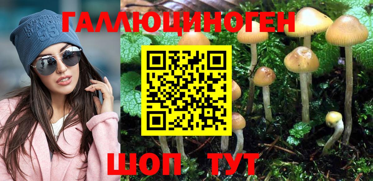 Каменка  Галлюциногенные грибы Psilocybe  Вход с VPN 